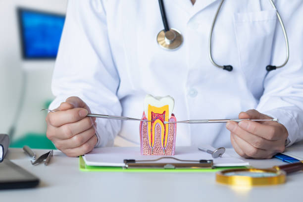 Best Knocked-Out Tooth Emergency  in Lewiston, CA